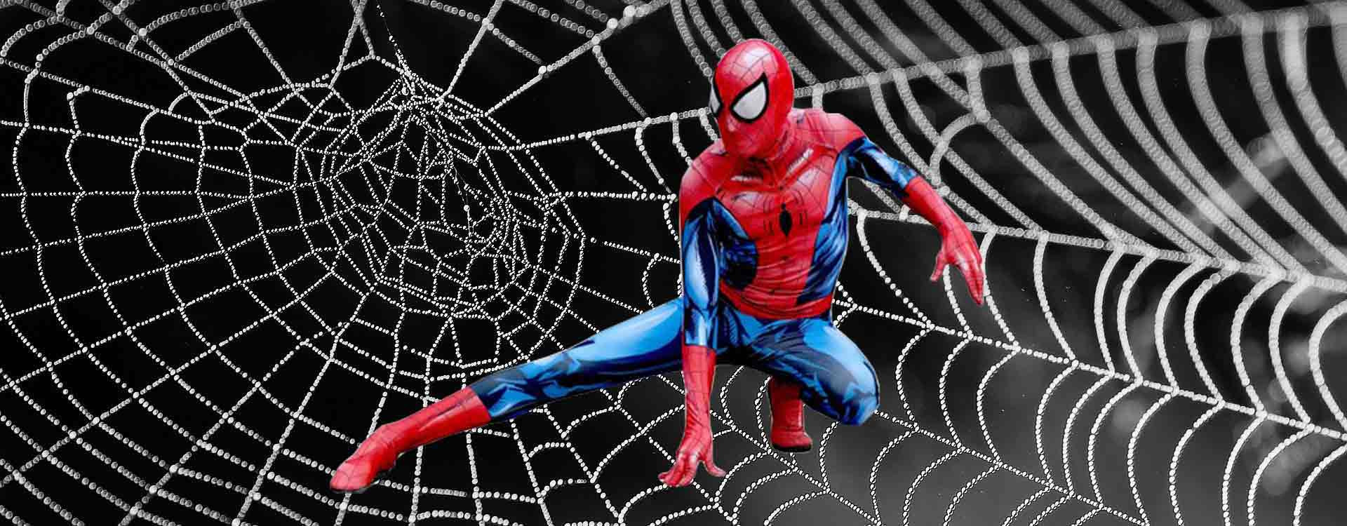 Beperken Sluiting Getand Ontdek het ongelooflijke verhaal van Spiderman